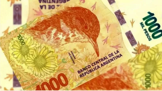 Billetes argentinos que más valor perdieron: en qué lugar se ubica el hornero de $ 1000