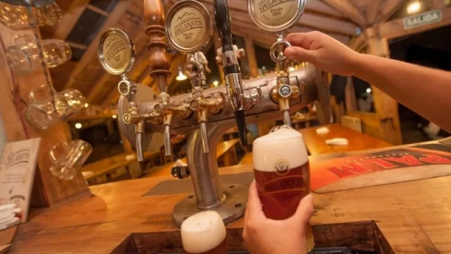 Neuquén participará en la 16° edición de la feria Caminos y Sabores