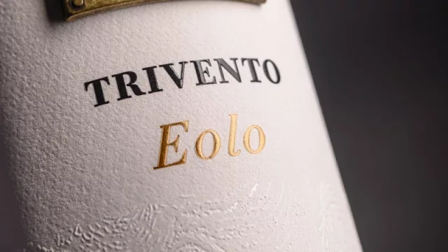 Eolo Malbec 2019, nacido de un viñedo centenario con la sabiduría del tiempo