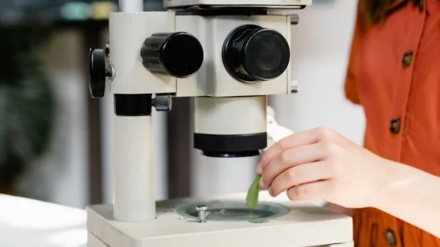 Empresas tucumanas podrán participar de la Ronda Internacional de Negocios de Tecnología Alimentaria, Aditivos e Ingredientes en TecnoFidta 2022 