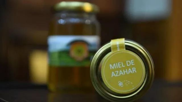 Estas son las mieles que se producen en Tucumán (y se exportan al mundo)