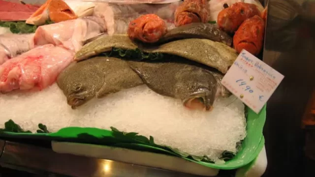 ¿Qué sabemos del pescado que comemos? (en España se come el doble)