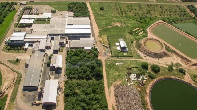 Chortitzer invertirá US$ 10 millones en planta algodonera (así incursionará en el rubro textil)