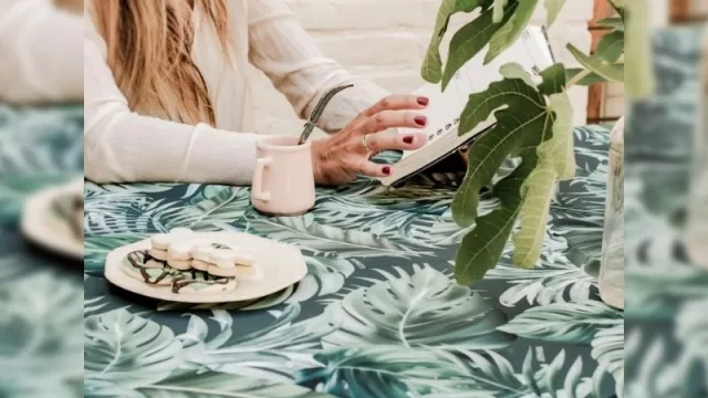 Moskit, la tienda de mantelería y papelería premium, planea aperturas físicas (productos repelentes de líquidos)