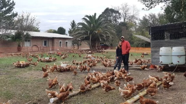 El “Gallimovil”, un aliado de la Granja Avilú: un emprendimiento tucumano amigable con el medio ambiente 