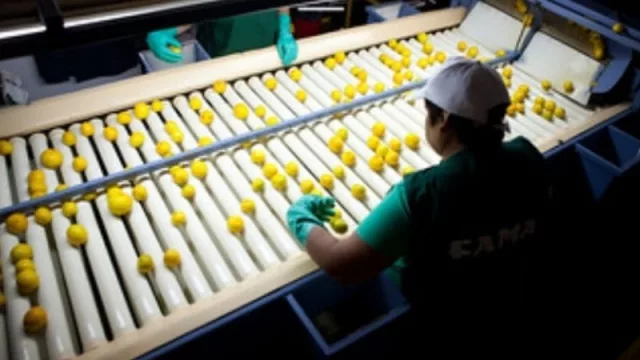 Dictarán un curso para aspirantes a inspectores de empaques de cítricos en Tucumán 