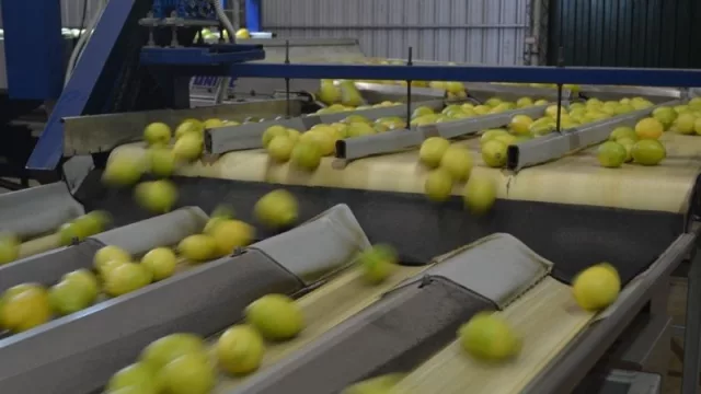 “BIOTUC cultiva salud innovando”: la empresa tucumana que se destaca por brindar productos orgánicos