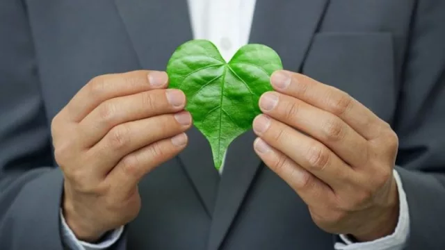 Cómo resolver dilemas éticos en la empresa (el rol de los valores morales)