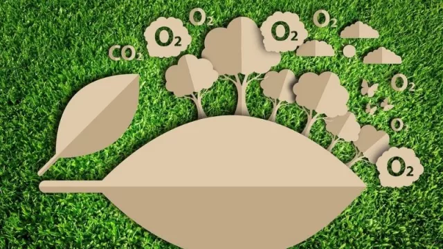 Así compensan las emisiones de carbono las empresas argentinas (una investigación de The Carbon Sink)