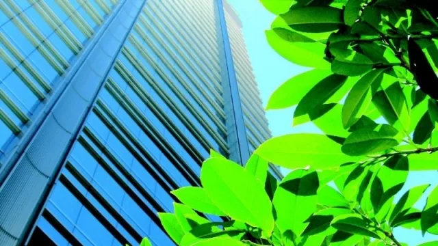 Finanzas y sustentabilidad: invertir en verde