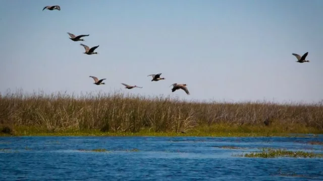 Corrientes prepara su potencial turístico para exhibirlo en la FIT