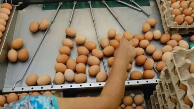 Emprendedores tucumanos recibieron microcréditos para potenciar sus productos (con un monto total de $ 2.538.000) 