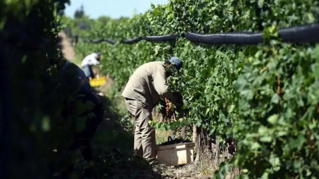 Programa Intercosecha: anuncian un incremento para los trabajadores del sector 