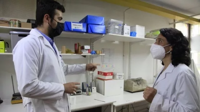 Innovación: investigadores tucumanos diseñan un parche inteligente para diagnosticar una infección y, al mismo tiempo, curarla 