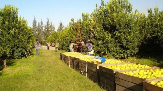 Los trabajadores rurales exigen un incremento en el Plan Intercosecha (teniendo en cuenta la inflación) 