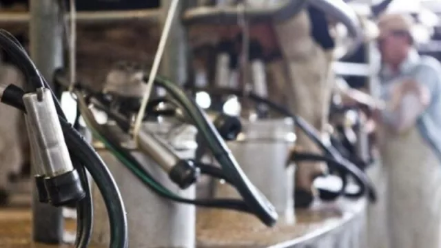 Productores tamberos e industriales lácteos de Tucumán podrán acceder a créditos sin interés de hasta $ 1.000.000 