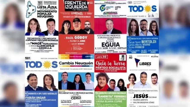 PASO 2021: Las particularidades de las primeras elecciones en pandemia en Neuquén 