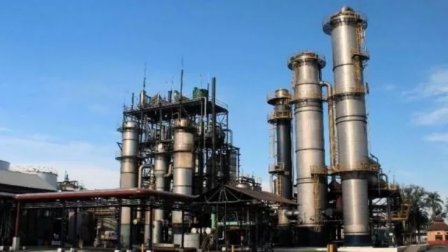 Zafra 2021: hasta el momento el sector va produciendo “160 millones de litros de alcohol”