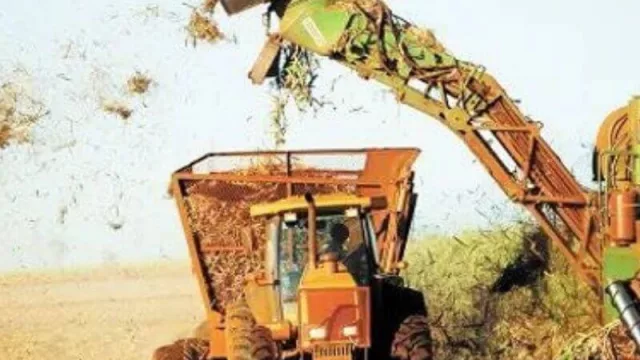 Cómo avanza la zafra azucarera en Tucumán, y qué se sabe de la zafra citrícola en volúmenes de exportación 