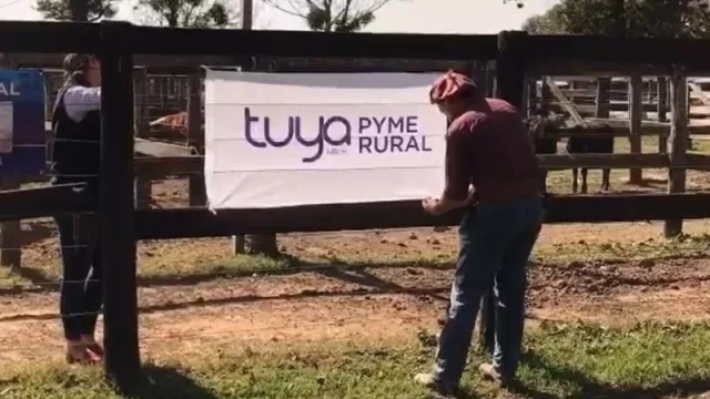 Compra de hacienda cuotas: Tuya Pyme Rural impulsa la financiación en remates