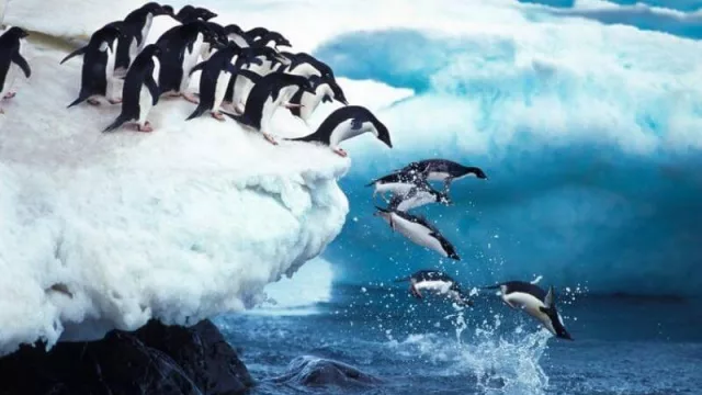 La subida del nivel del mar y el deshielo de los glaciares ya son irreversibles (pero…)