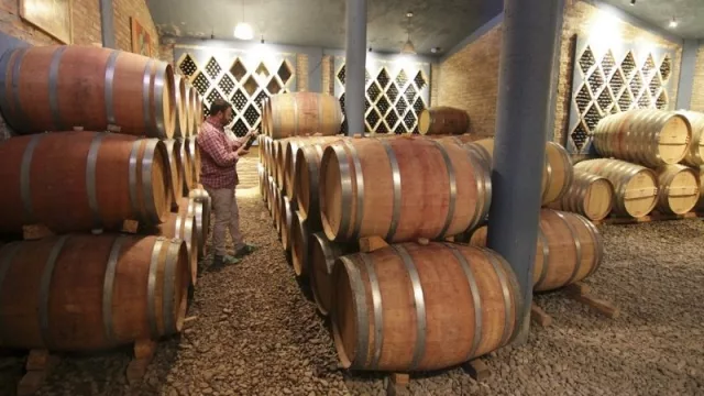 Camino del Vino Tucumano: entre catas y maridajes, turistas disfrutan 14 bodegas de los Valles Calchaquíes 
