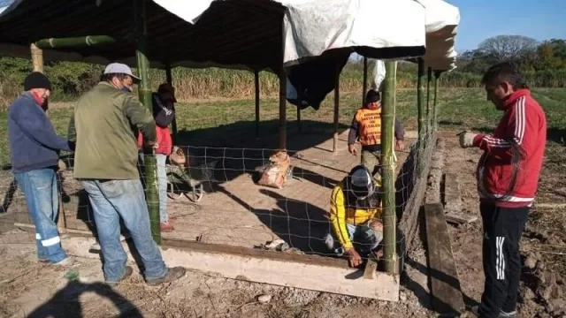 Una cooperativa tucumana recibió equipamiento y asesoramiento para la producción avícola (generó puestos de trabajo) 
