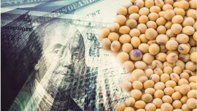 Alerta para Argentina: suba global del dólar y desplome de commodities ponen en jaque la estrategia cambiaria