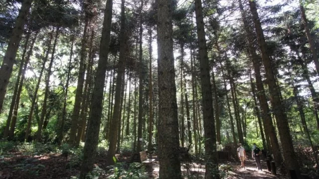 Una considerable inversión se realizará en Horco Molle para potenciar el turismo (ya se encuentra abierto al público)