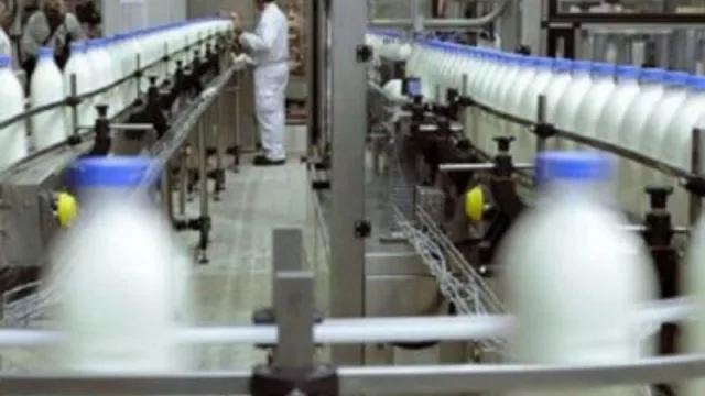 Objetivo: fortalecer la cadena láctea del NOA (propuesta para la industria y productores de la región)