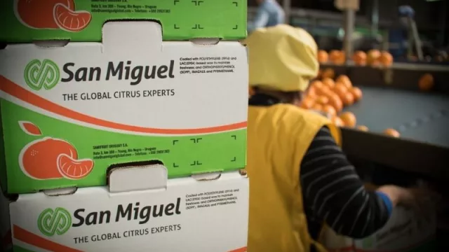 San Miguel y una gran apuesta para 2021: presencia física y representación comercial en dos grandes países de Europa y Asia