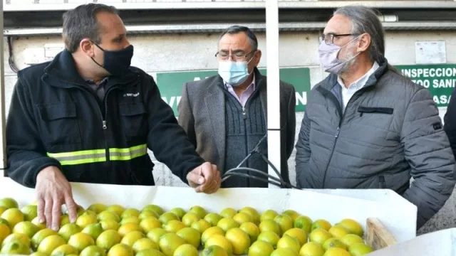 ¡Es un hecho! Partió el primer cargamento de limones a Europa: "Nos augura un buen año" 