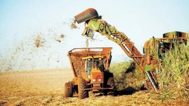 La zafra tucumana en acción: se suman dos ingenios más al inicio de su producción 