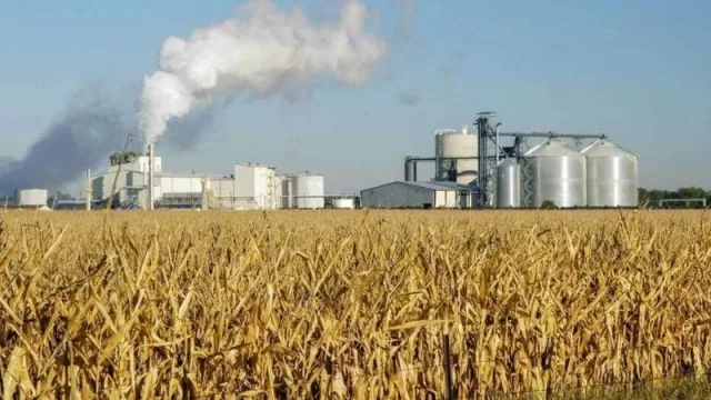 Ley de Biocombustibles: horas decisivas para los productores, ya habría una definición del Gobierno al respecto