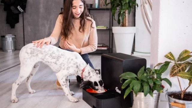 Kibus Petcare, la “Thermomix” de los  perros: una startup que ofrece una alimentación saludable para mascotas