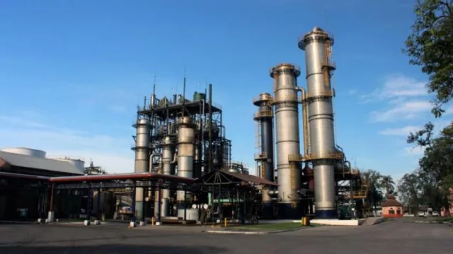 Ley de Biocombustibles: se viene una nueva zafra y confirman la producción de bioetanol en los ingenios