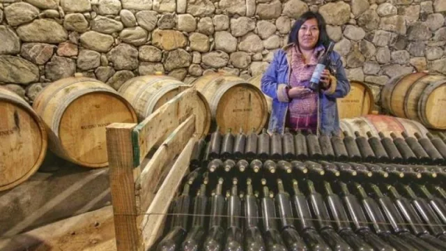 Emprendedores tucumanos: convocatoria para presentar proyectos relacionados al turismo rural 