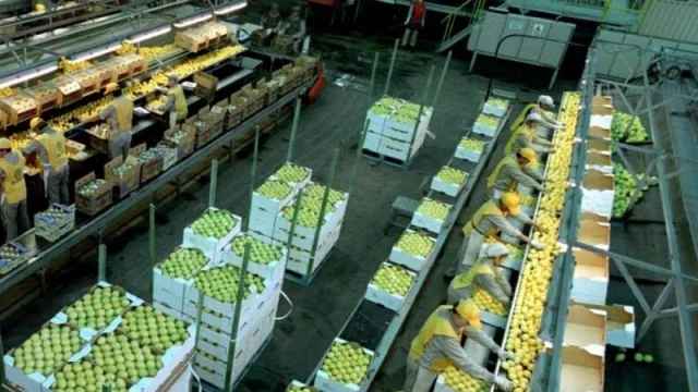 Impacto negativo ¿cuánto cayó la actividad económica de Tucumán durante el año pasado?