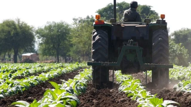 Precio del tabaco en Jujuy: cámaras y productores acordaron un aumento del 50%