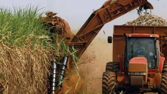 Impulsan la creación del Instituto Nacional de Azúcar y Alcohol: detalles de este proyecto tucumano