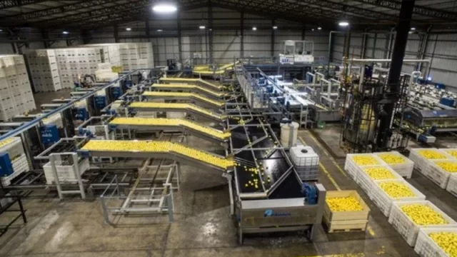 Reconocen y premian al Grupo Lucci por la aplicación de un destacado método japonés