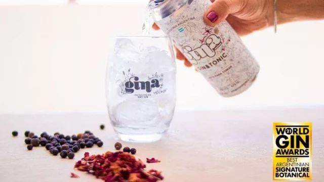 Gina, el primer gin fabricado en Neuquén que no para de ganar premios 