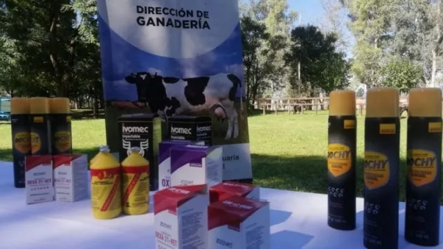 Más asistencia para el sector productivo de la provincia: nueva asistencia para pequeños productores