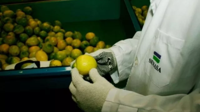 Brindarán el curso de Inspector de Empaque (inscripción y requisitos para participar)