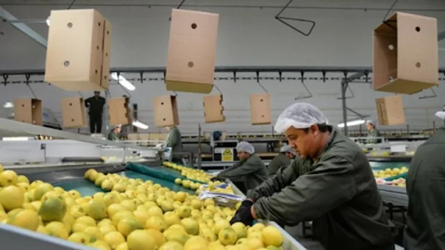 La industria citrícola también se planteó la generación de nuevos empleos (reunión clave para potenciar el proyecto)