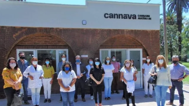 Cannava: la pionera en el país en cannabis medicinal educa al  sumar actores 