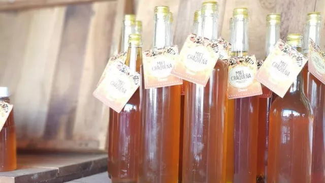 Miel Orgánica del Monte Chaqueño, un producto con calidad de exportación 