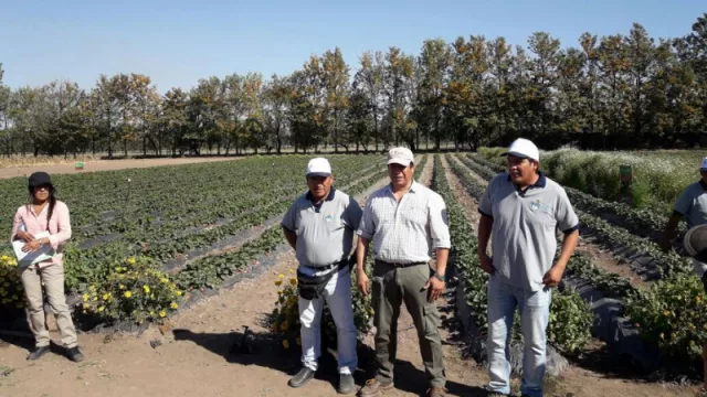 Nación lanzó créditos para agricultura: incluyó a Jujuy entre las 11 provincias 