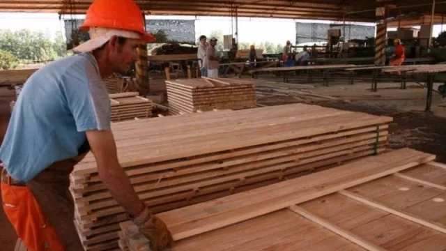 El Centro Tecnológico de la Madera y su aporte calificado a la industria misionera