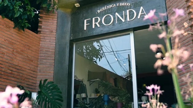 Seguimos acompañando a nuestros emprendedores: Frondatuc, el negocio tucumano que brinda oxígeno natural a tu hogar 